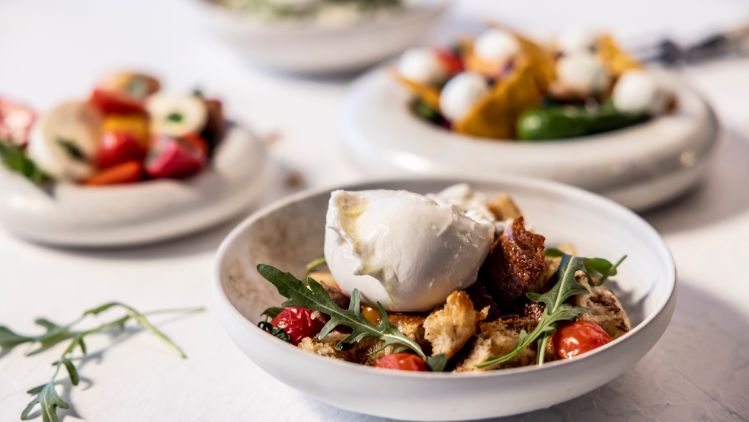 Sommersalate mit Mozzarella und Burrata